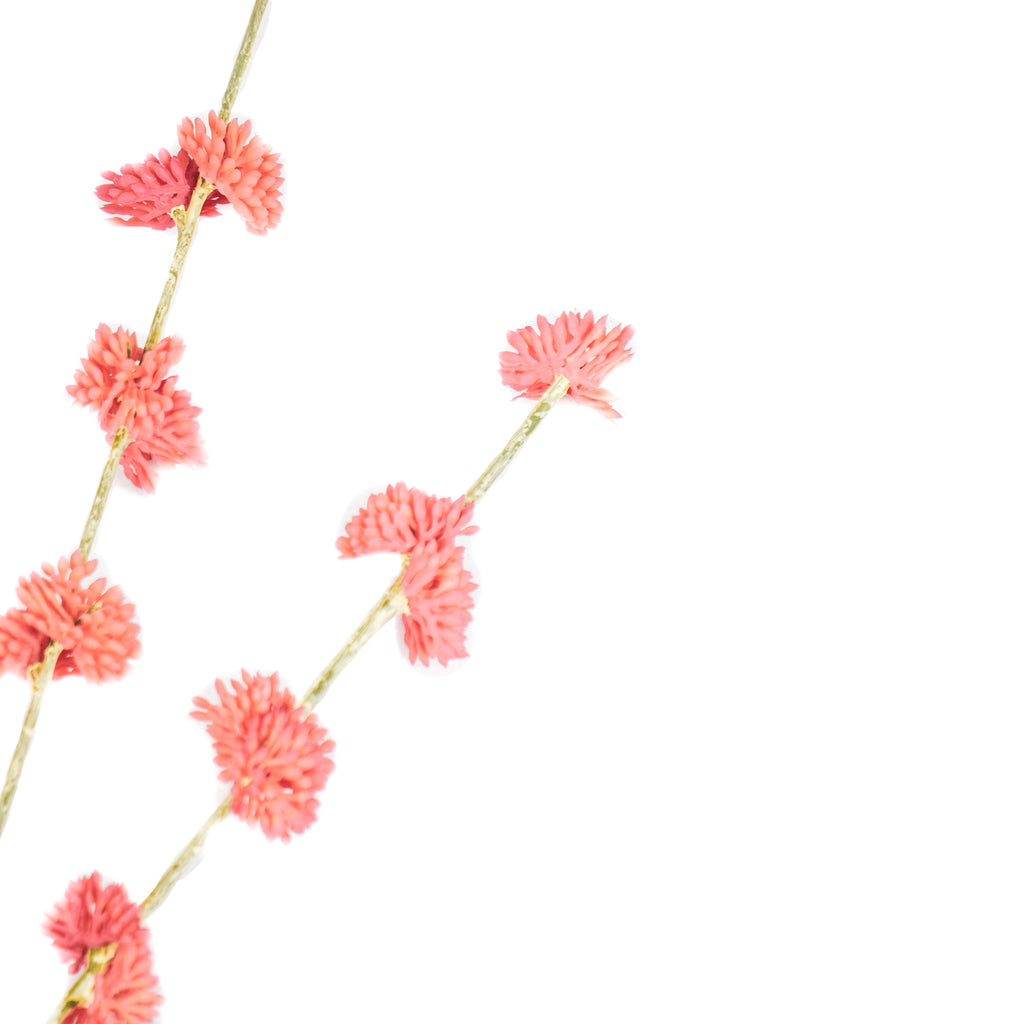 HV Pink Flowers Branch - Melaleuca - 15 x 60 cm - Polysterene